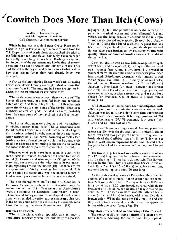 14th Annual Agriculture and food fair of theVirgin Islands 1984. - Page 22