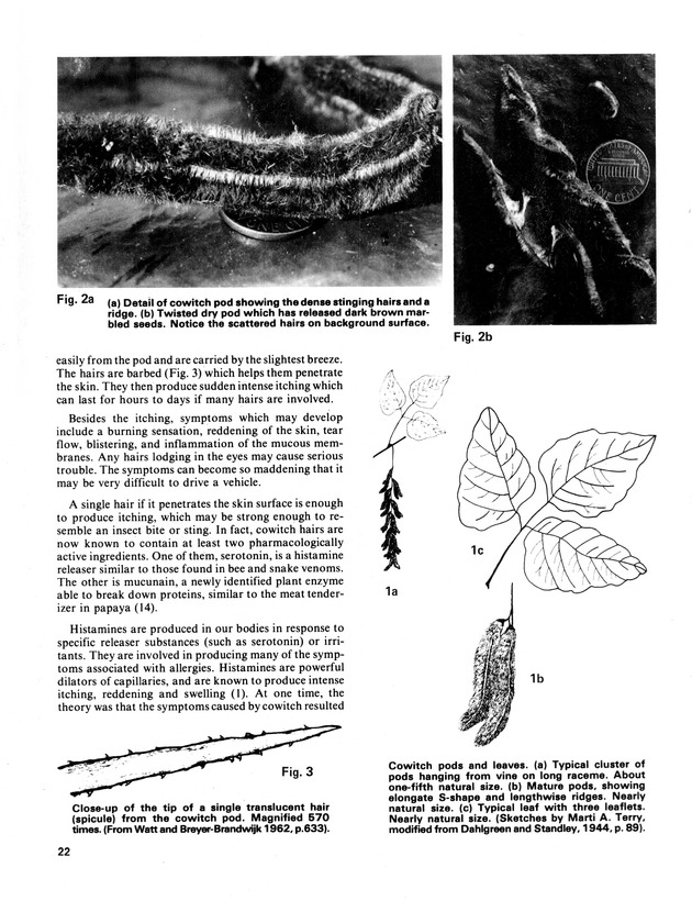 14th Annual Agriculture and food fair of theVirgin Islands 1984. - Page 23