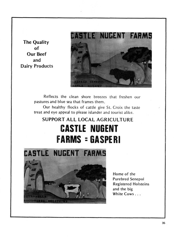 14th Annual Agriculture and food fair of theVirgin Islands 1984. - Page 36