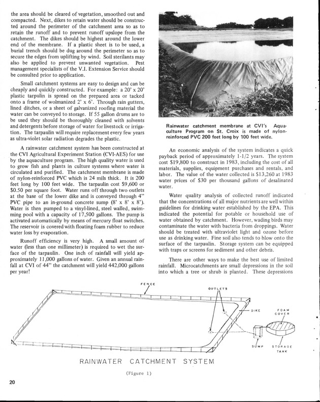 15th Annual Agriculture and food fair of the Virgin Islands 1985. - Page 21