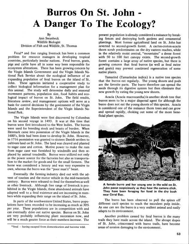 15th Annual Agriculture and food fair of the Virgin Islands 1985. - Page 54