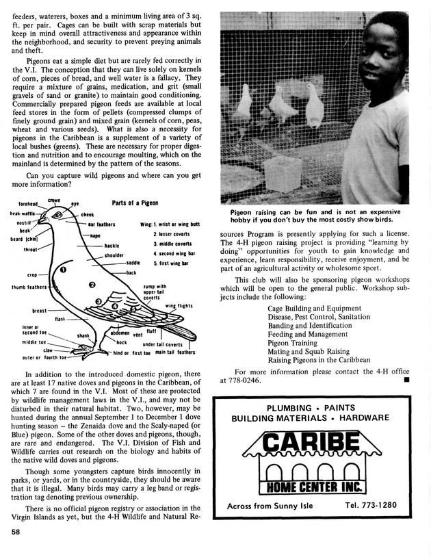 15th Annual Agriculture and food fair of the Virgin Islands 1985. - Page 59