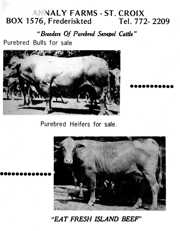 15th Annual Agriculture and food fair of the Virgin Islands 1985. - Page 94