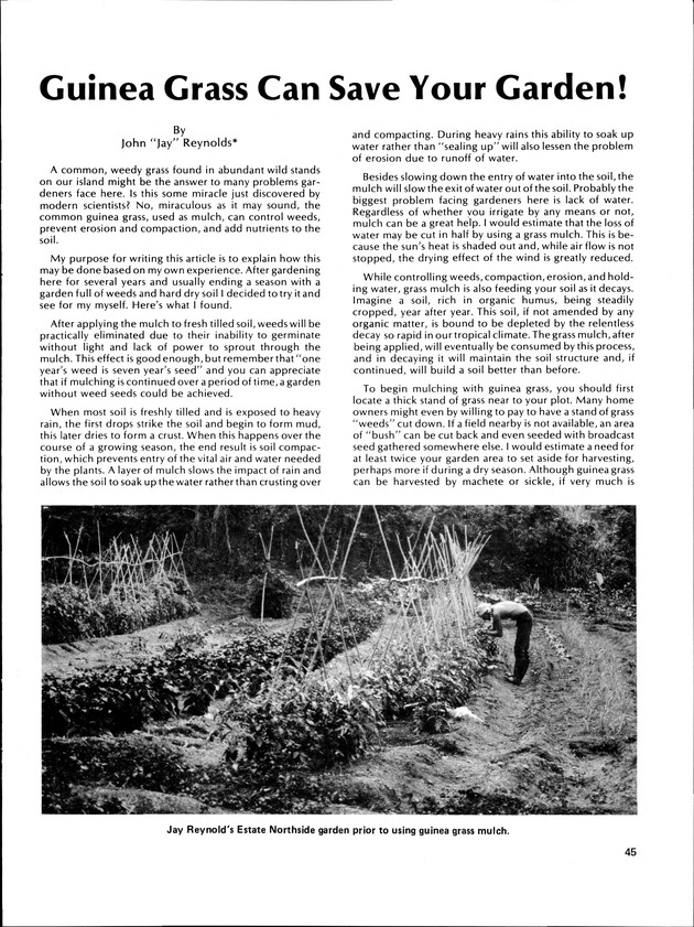 Virgin Islands Agriculture and food fair 1986. - Page 48