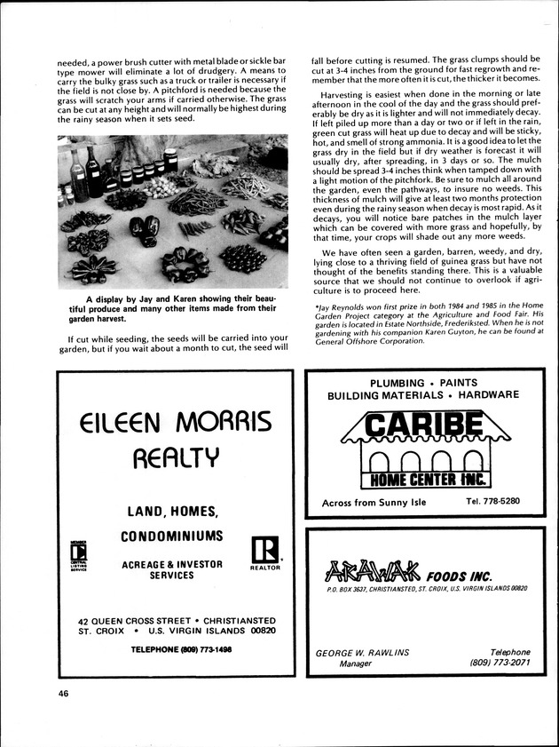 Virgin Islands Agriculture and food fair 1986. - Page 49