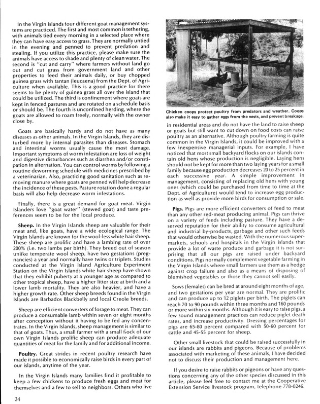 Virgin Islands  Agriculture and food fair 1987. - Page 25