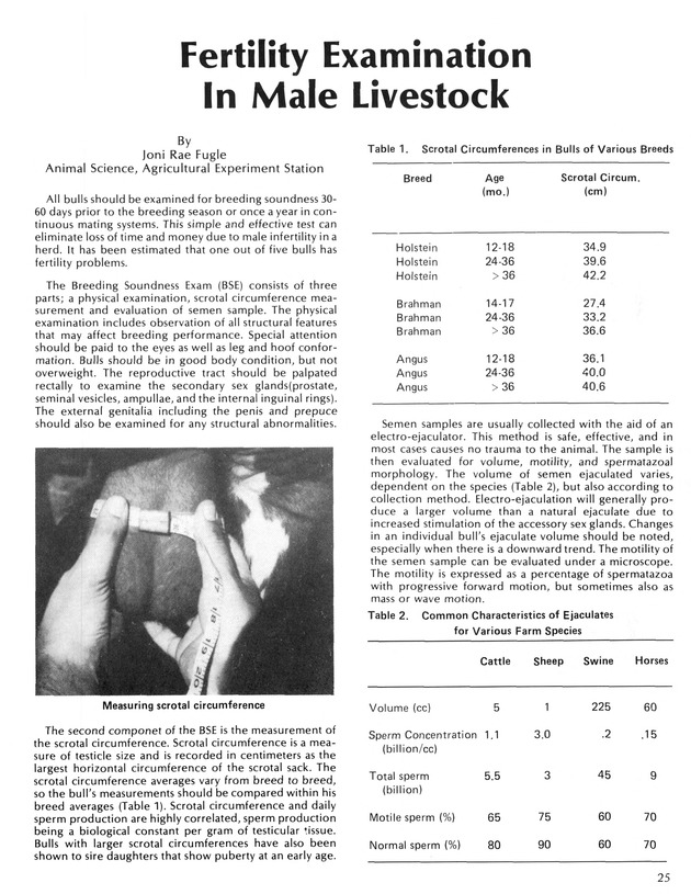 Virgin Islands  Agriculture and food fair 1987. - Page 26