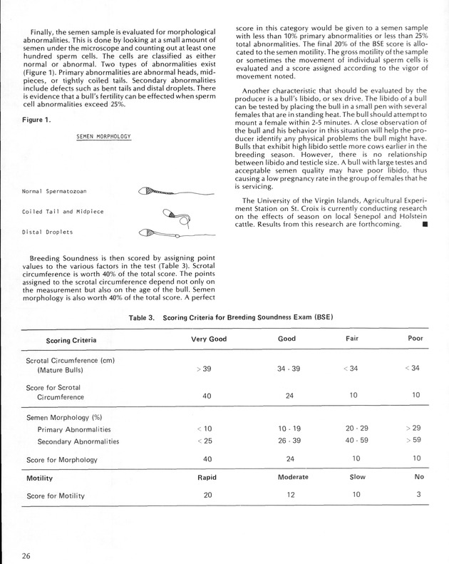 Virgin Islands  Agriculture and food fair 1987. - Page 27