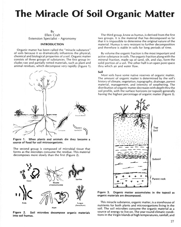 Virgin Islands  Agriculture and food fair 1987. - Page 28