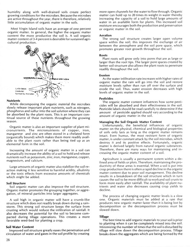 Virgin Islands  Agriculture and food fair 1987. - Page 29