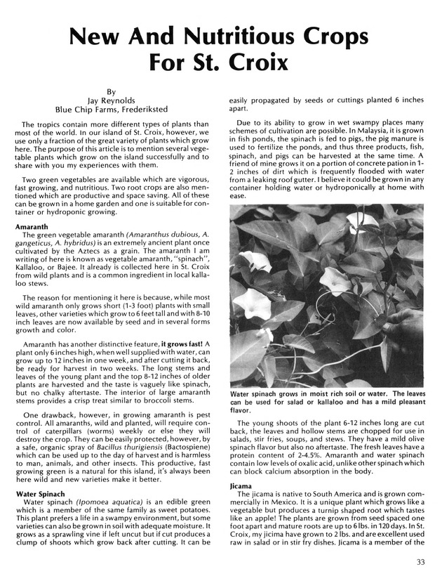 Virgin Islands  Agriculture and food fair 1987. - Page 34