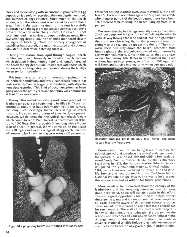 Virgin Islands  Agriculture and food fair 1987. - Page 45