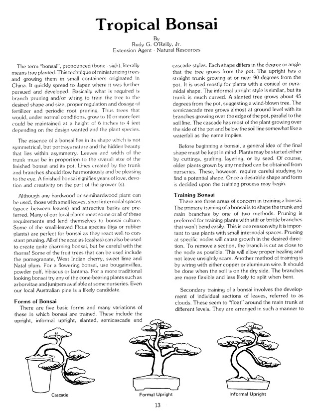 Virgin Islands Agriculture and food fair 1988. - Page 21