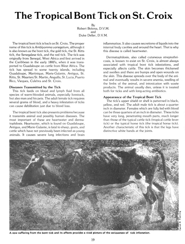 Virgin Islands Agriculture and food fair 1988. - Page 27