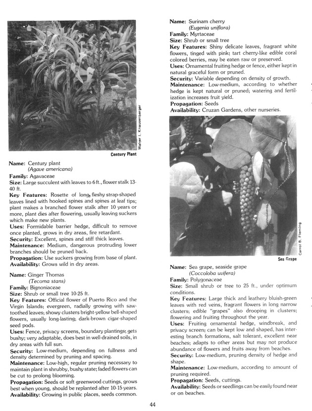 Virgin Islands Agriculture and food fair 1988. - Page 52