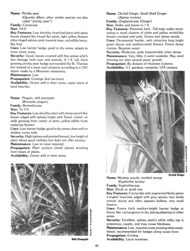 Virgin Islands Agriculture and food fair 1988. - Page 53