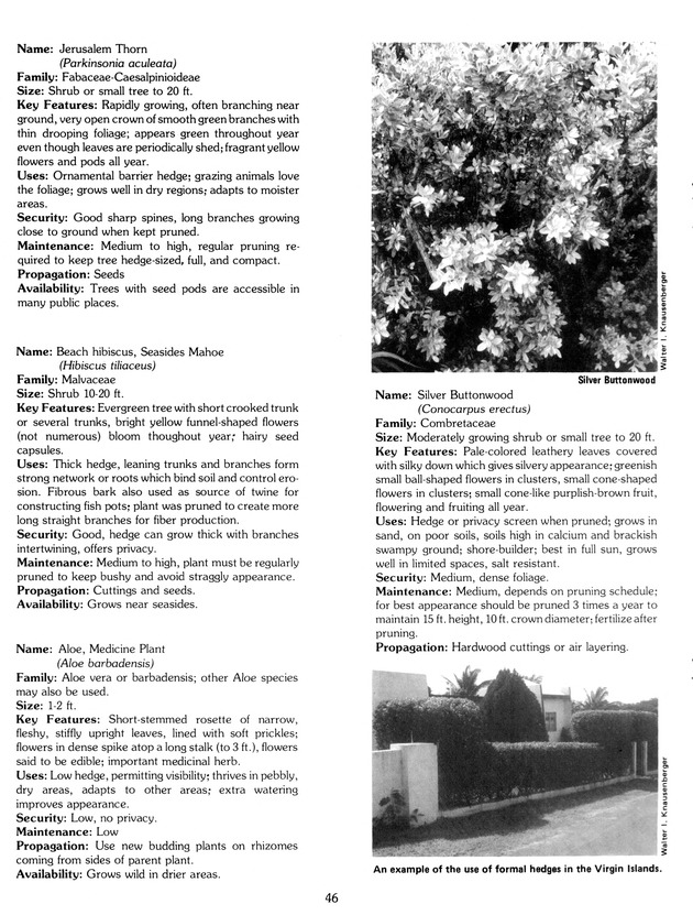 Virgin Islands Agriculture and food fair 1988. - Page 54