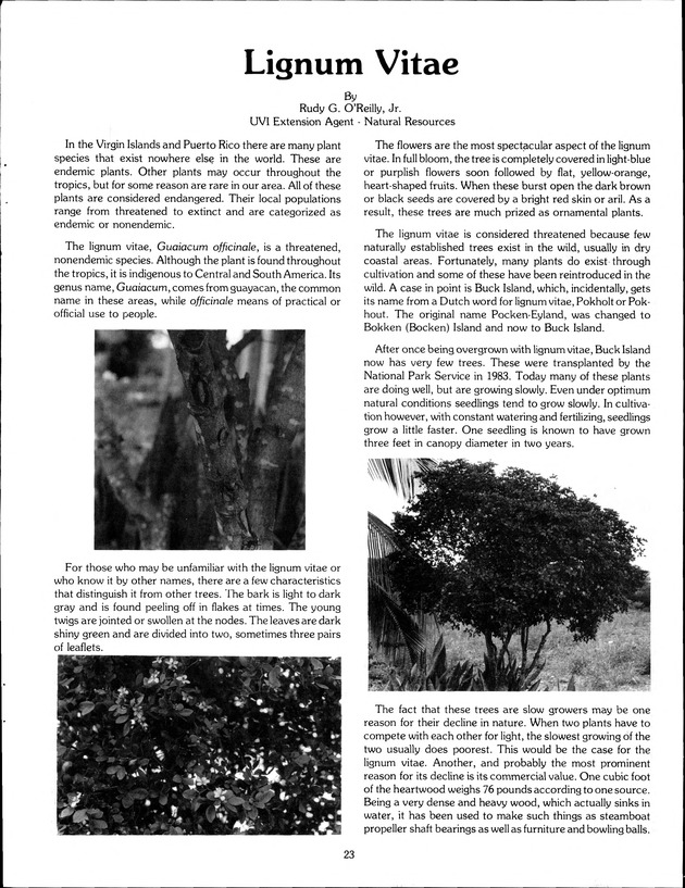 Agrifest : agriculture and food fair of St. Croix, Virgin Islands. 1989. - Page 31