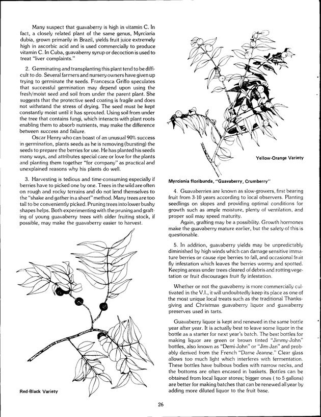 Agrifest : agriculture and food fair of St. Croix, Virgin Islands. 1989. - Page 34