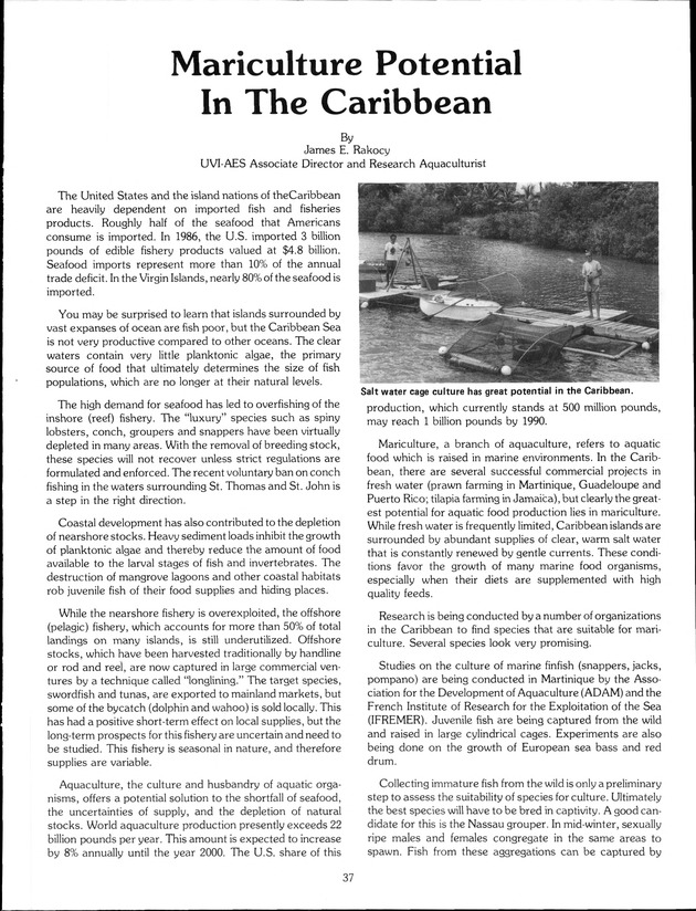 Agrifest : agriculture and food fair of St. Croix, Virgin Islands. 1989. - Page 45