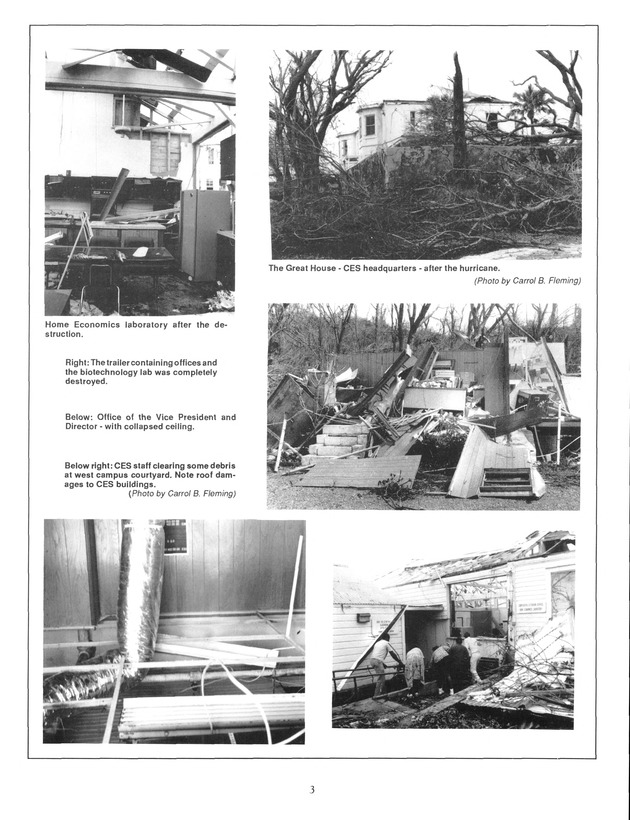 Agrifest : agriculture and food fair of St. Croix, Virgin Islands. 1991. - Page 11