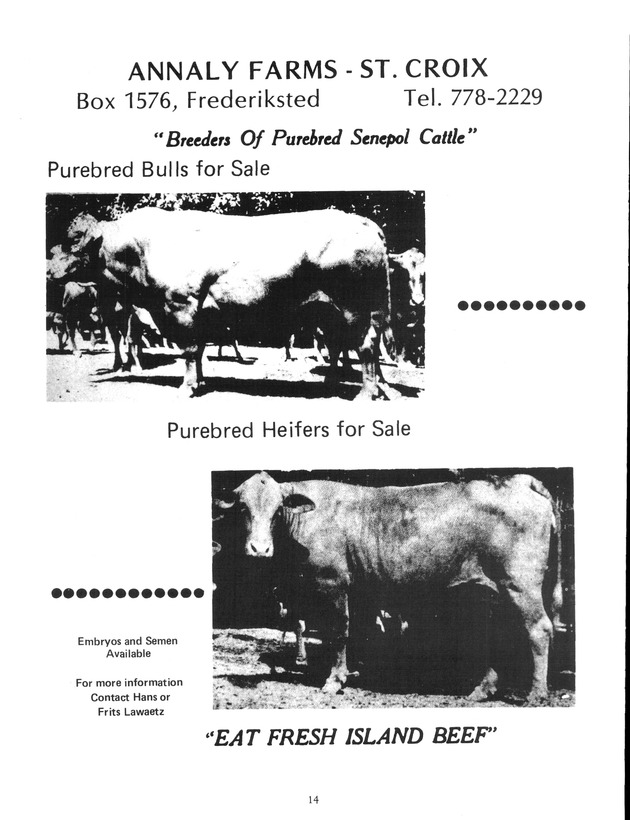 Agrifest : agriculture and food fair of St. Croix, Virgin Islands. 1991. - Page 22