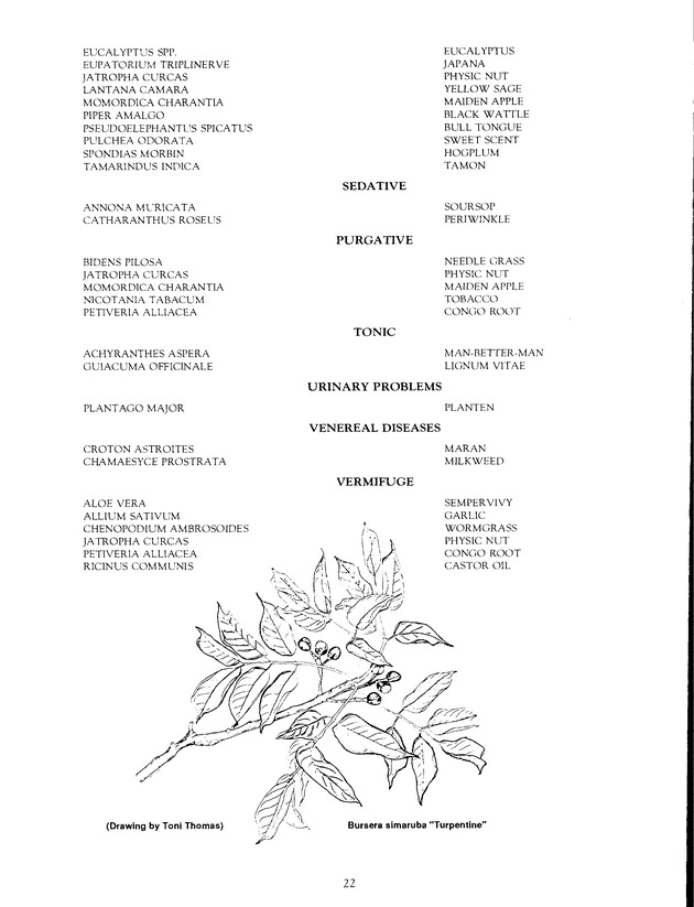 Agrifest : agriculture and food fair of St. Croix, Virgin Islands. 1991. - Page 30