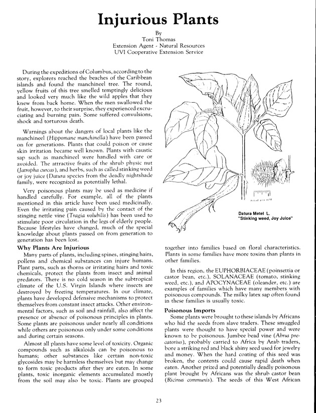 Agrifest : agriculture and food fair of St. Croix, Virgin Islands. 1991. - Page 31