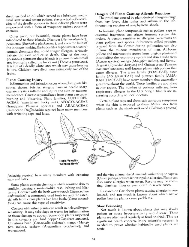 Agrifest : agriculture and food fair of St. Croix, Virgin Islands. 1991. - Page 32