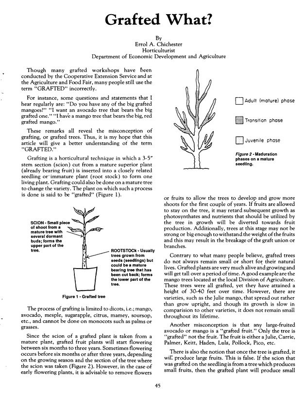 Agrifest : agriculture and food fair of St. Croix, Virgin Islands. 1991. - Page 53