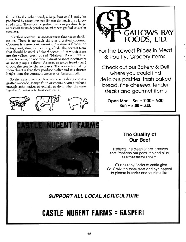 Agrifest : agriculture and food fair of St. Croix, Virgin Islands. 1991. - Page 54