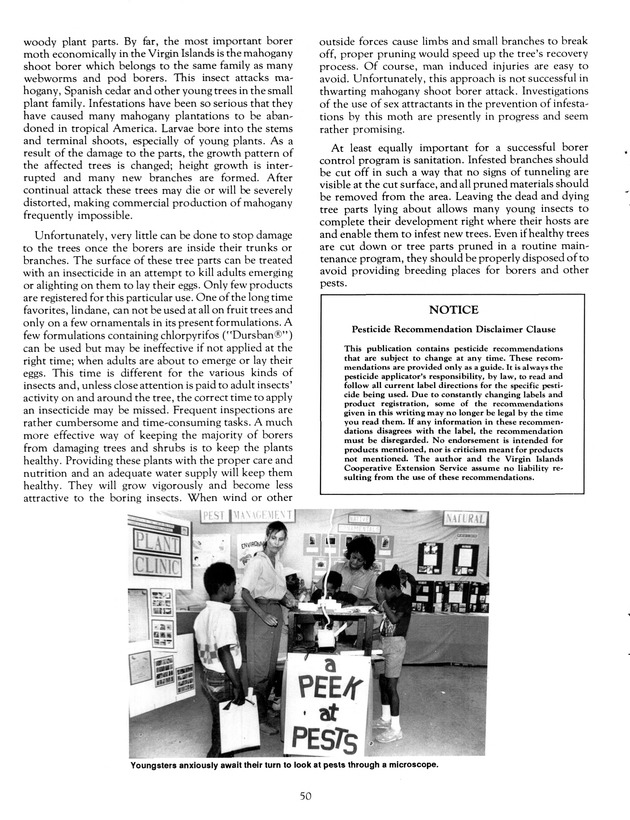 Agrifest : agriculture and food fair of St. Croix, Virgin Islands. 1991. - Page 58