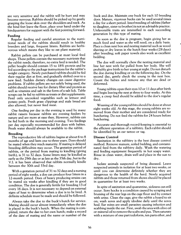 Agrifest : agriculture and food fair of St. Croix, Virgin Islands. 1991. - Page 64