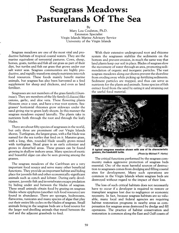 Agrifest : agriculture and food fair of St. Croix, Virgin Islands. 1991. - Page 67