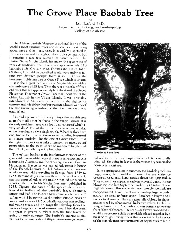 Agrifest : agriculture and food fair of St. Croix, Virgin Islands. 1991. - Page 73