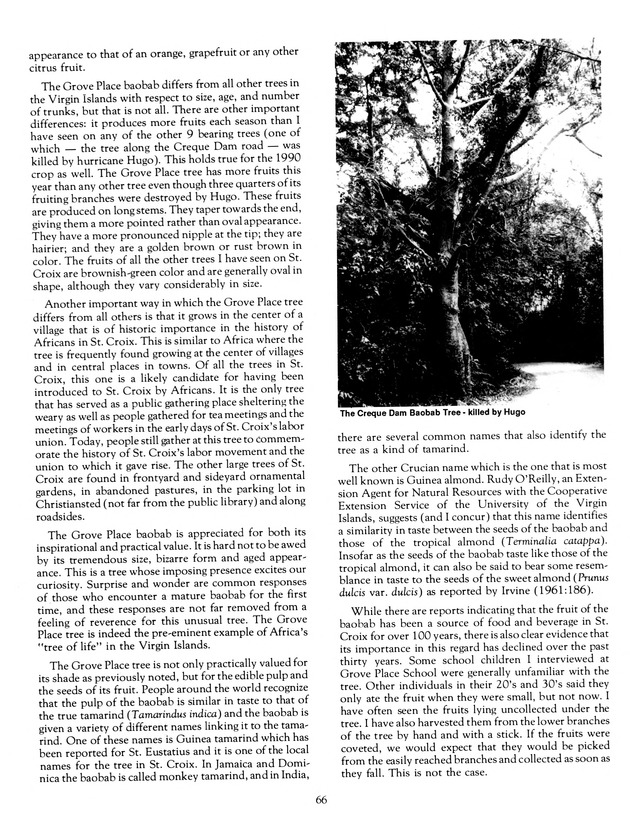 Agrifest : agriculture and food fair of St. Croix, Virgin Islands. 1991. - Page 74