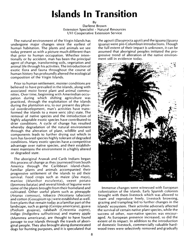 Agrifest : agriculture and food fair of St. Croix, Virgin Islands. 1992. - Page 16