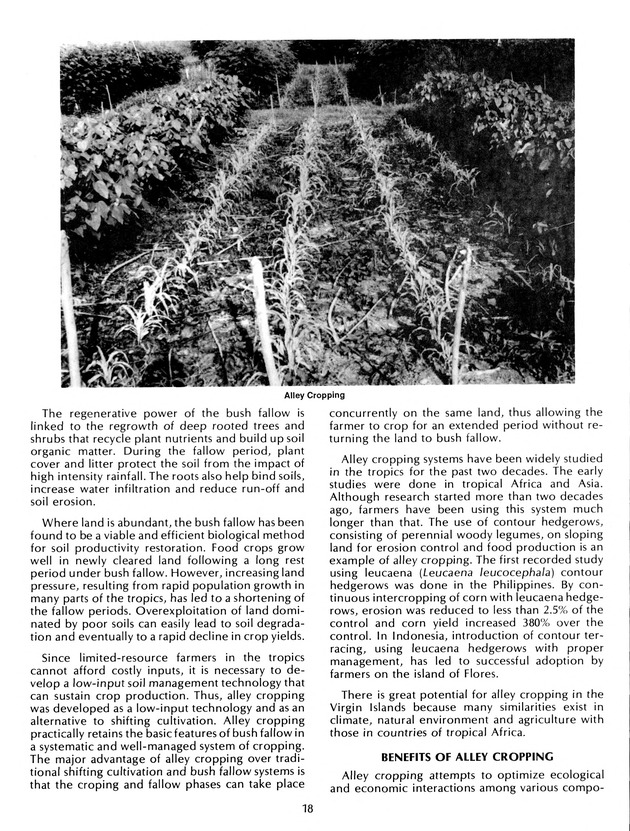 Agrifest : agriculture and food fair of St. Croix, Virgin Islands. 1992. - Page 26