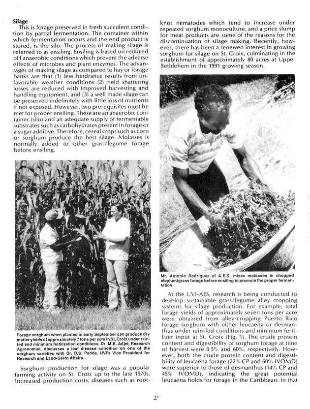 Agrifest : agriculture and food fair of St. Croix, Virgin Islands. 1992. - Page 35