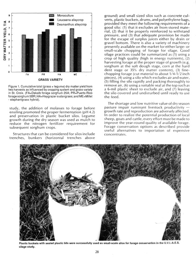 Agrifest : agriculture and food fair of St. Croix, Virgin Islands. 1992. - Page 36