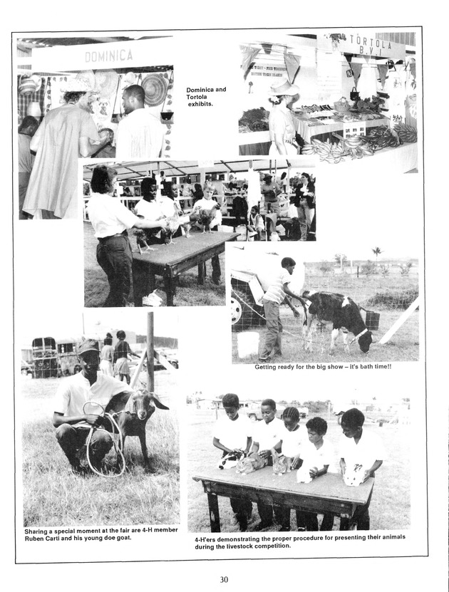 Agrifest : agriculture and food fair of St. Croix, Virgin Islands. 1992. - Page 38