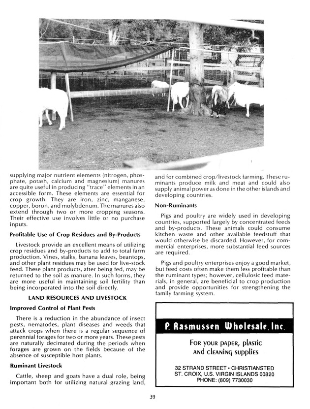 Agrifest : agriculture and food fair of St. Croix, Virgin Islands. 1992. - Page 47