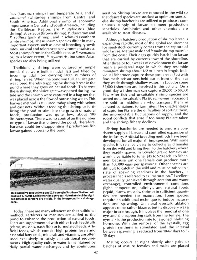 Agrifest : agriculture and food fair of St. Croix, Virgin Islands. 1992. - Page 50