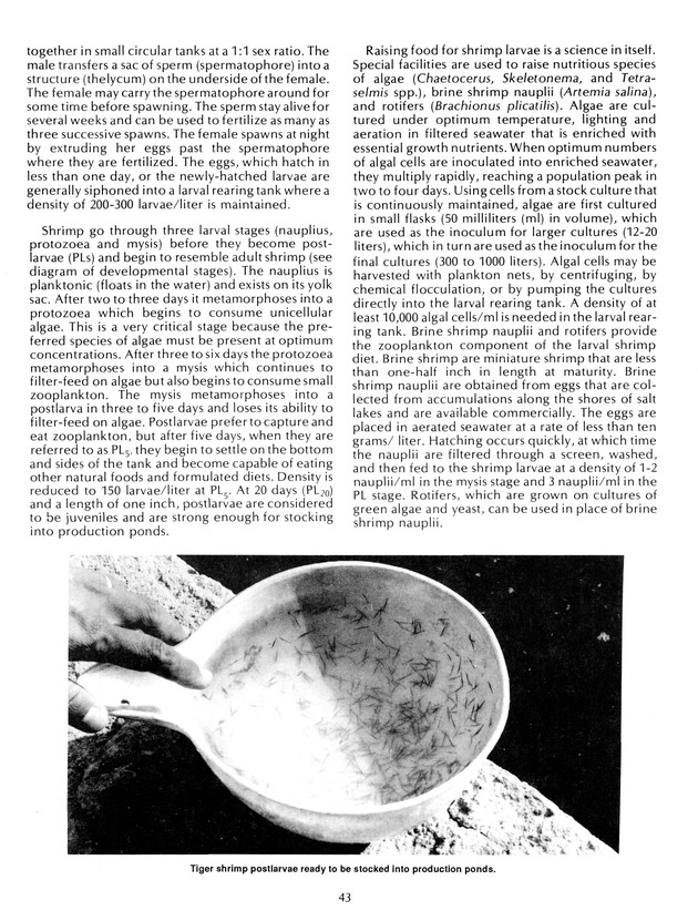 Agrifest : agriculture and food fair of St. Croix, Virgin Islands. 1992. - Page 51