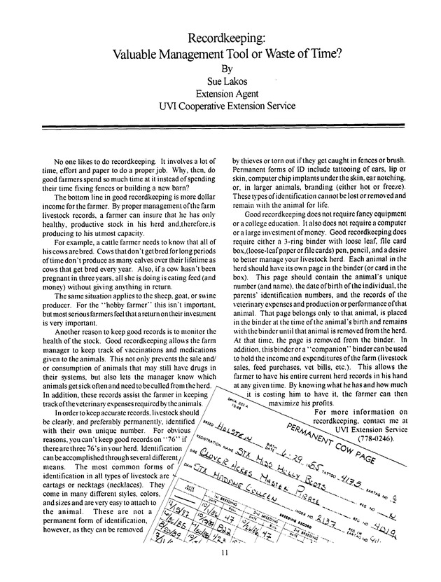 Agrifest : agriculture and food fair of St. Croix, Virgin Islands. 1993 - Page 11