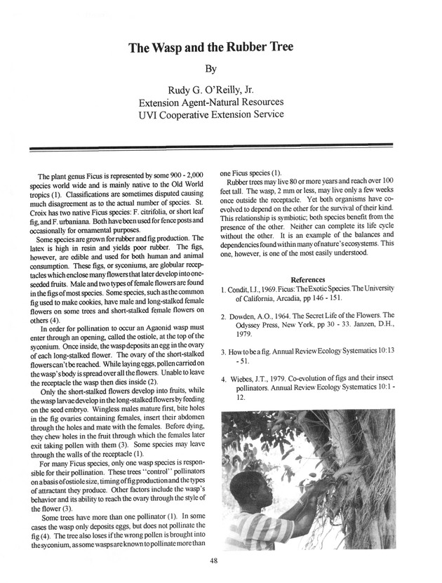 Agrifest : agriculture and food fair of St. Croix, Virgin Islands. 1993 - Page 48