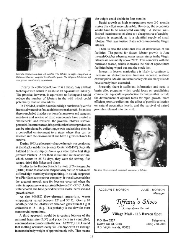 Agrifest : agriculture and food fair of St. Croix, Virgin Islands. 1994. - Page 15