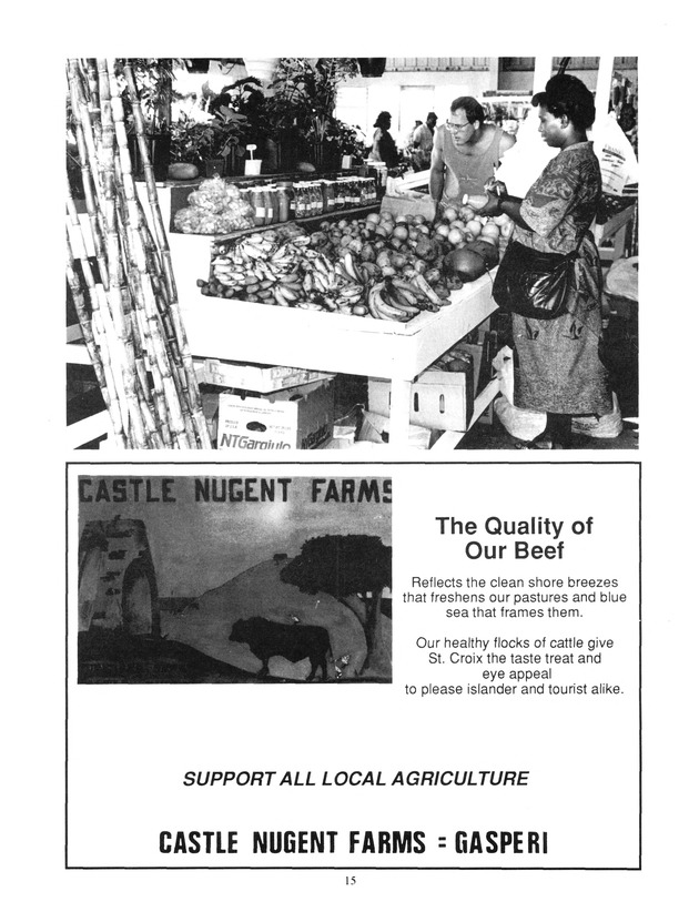 Agrifest : agriculture and food fair of St. Croix, Virgin Islands. 1994. - Page 16