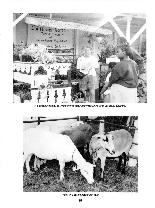 Agrifest : agriculture and food fair of St. Croix, Virgin Islands. 1998. - Page 16