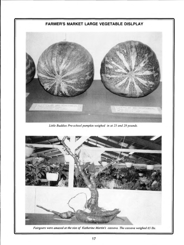 Agrifest : agriculture and food fair of St. Croix, Virgin Islands. 1998. - Page 18